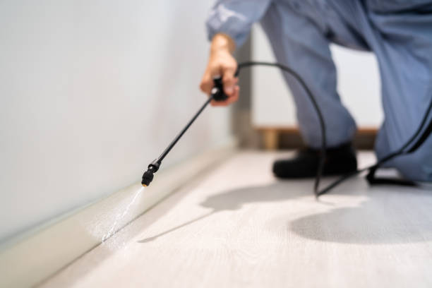 Professional exterminator conducting IPM assessment in Lockport